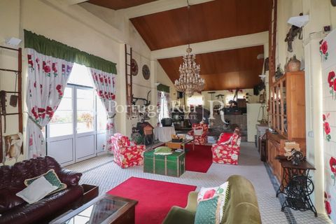 Farm i Agueda, Aveiro, Agueda - € 970.000 | Ref: FG665 - foto 29