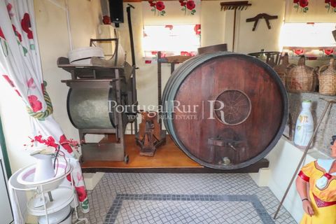 Farm i Agueda, Aveiro, Agueda - € 970.000 | Ref: FG665 - foto 31
