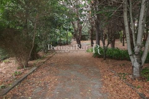 Farm i Agueda, Aveiro, Agueda - € 970.000 | Ref: FG665 - foto 50