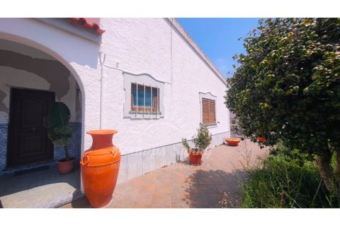 Villa i Ermidas do Sado, Setubal, Ermidas do Sado - € 800.000 | Ref: PHS797/25 - foto 1