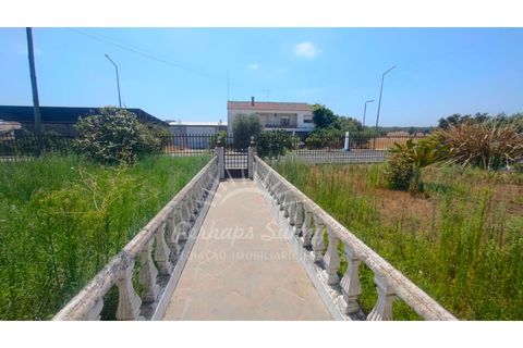 Villa i Ermidas do Sado, Setubal, Ermidas do Sado - € 800.000 | Ref: PHS797/25 - foto 2
