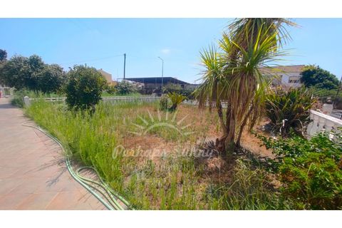 Villa i Ermidas do Sado, Setubal, Ermidas do Sado - € 800.000 | Ref: PHS797/25 - foto 7