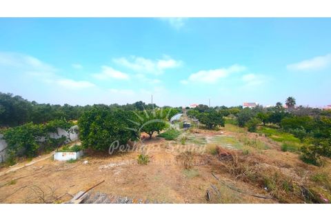 Villa i Ermidas do Sado, Setubal, Ermidas do Sado - € 800.000 | Ref: PHS797/25 - foto 40