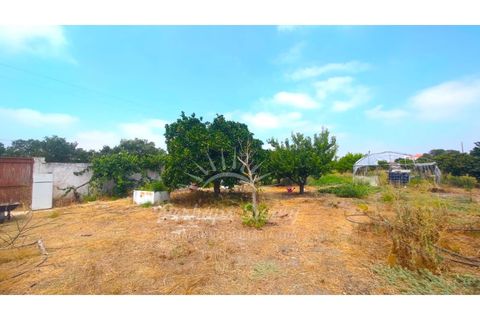 Villa i Ermidas do Sado, Setubal, Ermidas do Sado - € 800.000 | Ref: PHS797/25 - foto 44