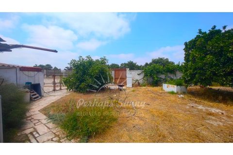 Villa i Ermidas do Sado, Setubal, Ermidas do Sado - € 800.000 | Ref: PHS797/25 - foto 45