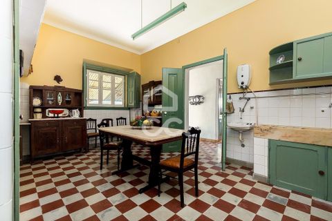 Villa i Alvito, Beja, Alvito - € 380.000 | Ref: 318/M/03696 - foto 10