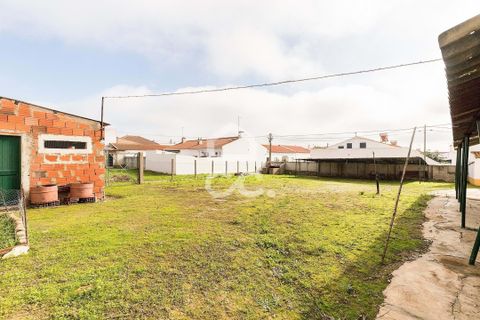 Villa i Alvito, Beja, Alvito - € 380.000 | Ref: 318/M/03696 - foto 30