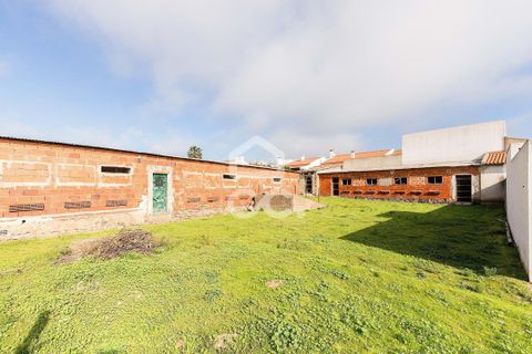 Villa i Alvito, Beja, Alvito - € 380.000 | Ref: 318/M/03696 - foto 35
