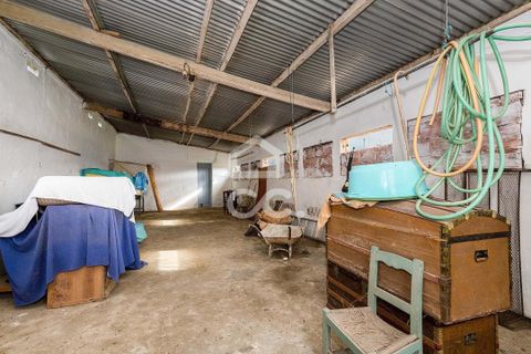 Villa i Alvito, Beja, Alvito - € 380.000 | Ref: 318/M/03696 - foto 41
