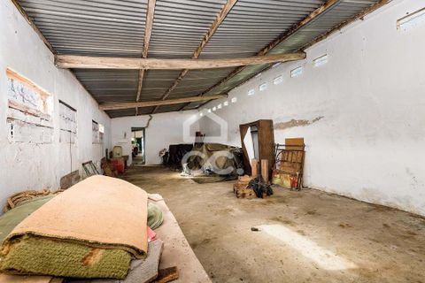 Villa i Alvito, Beja, Alvito - € 380.000 | Ref: 318/M/03696 - foto 42