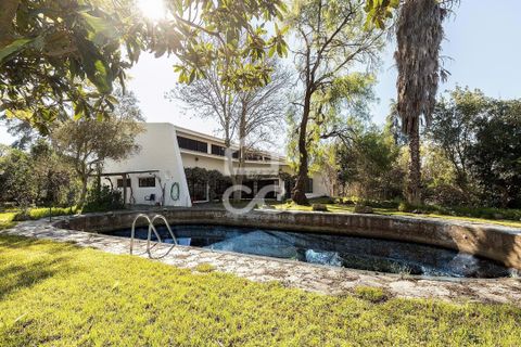 Farm hus i Moura, Beja, Moura - € 1.200.000 | Ref: 318/Q/03702 - foto 2