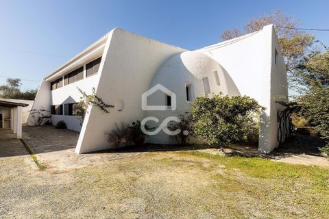 Farm hus i Moura, Beja, Moura - € 1.200.000 | Ref: 318/Q/03702 - foto 35