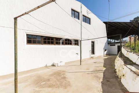 Farm hus i Moura, Beja, Moura - € 1.200.000 | Ref: 318/Q/03702 - foto 38