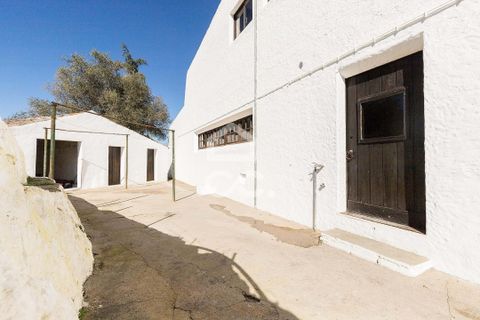Farm hus i Moura, Beja, Moura - € 1.200.000 | Ref: 318/Q/03702 - foto 39