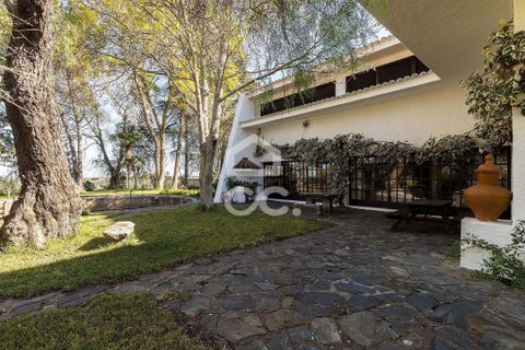 Farm hus i Moura, Beja, Moura - € 1.200.000 | Ref: 318/Q/03702 - foto 43