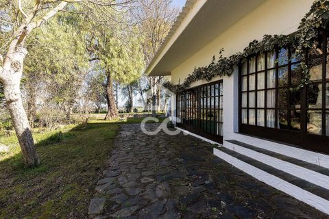 Farm hus i Moura, Beja, Moura - € 1.200.000 | Ref: 318/Q/03702 - foto 44