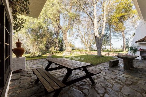 Farm hus i Moura, Beja, Moura - € 1.200.000 | Ref: 318/Q/03702 - foto 45