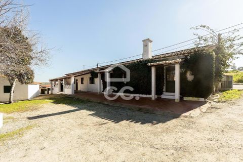 Farm hus i Moura, Beja, Moura - € 1.200.000 | Ref: 318/Q/03702 - foto 46