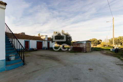 Farm hus i Evora, Evora, Evora - € 650.000 | Ref: 318/Q/03707 - foto 6