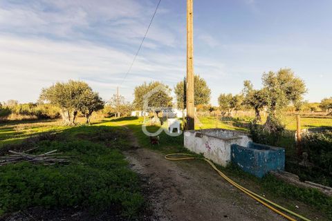 Farm hus i Evora, Evora, Evora - € 650.000 | Ref: 318/Q/03707 - foto 13