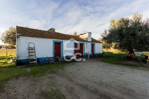 Farm hus i Evora, Evora, Evora - € 650.000 | Ref: 318/Q/03707 - foto 14