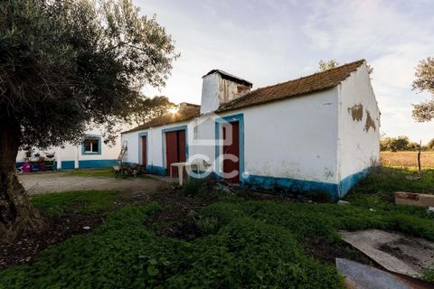 Farm hus i Evora, Evora, Evora - € 650.000 | Ref: 318/Q/03707 - foto 15