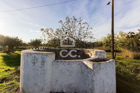 Farm hus i Evora, Evora, Evora - € 650.000 | Ref: 318/Q/03707 - foto 18