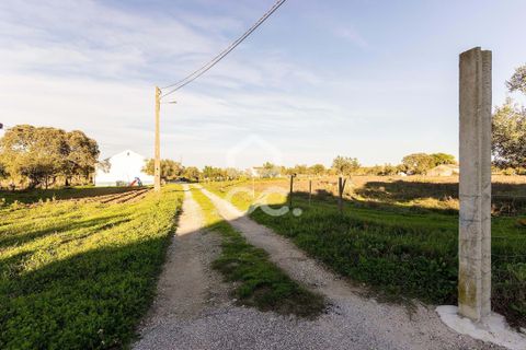 Farm hus i Evora, Evora, Evora - € 650.000 | Ref: 318/Q/03707 - foto 19
