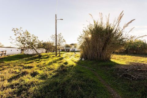 Farm hus i Evora, Evora, Evora - € 650.000 | Ref: 318/Q/03707 - foto 21