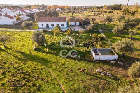 Farm hus i Evora, Evora, Evora - € 650.000 | Ref: 318/Q/03707 - foto 24