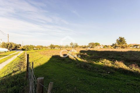 Farm hus i Evora, Evora, Evora - € 650.000 | Ref: 318/Q/03707 - foto 29