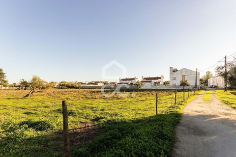 Farm hus i Evora, Evora, Evora - € 650.000 | Ref: 318/Q/03707 - foto 31