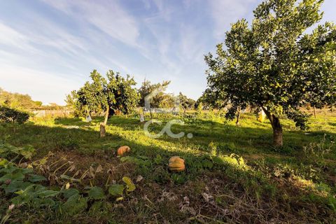 Farm hus i Evora, Evora, Evora - € 650.000 | Ref: 318/Q/03707 - foto 32