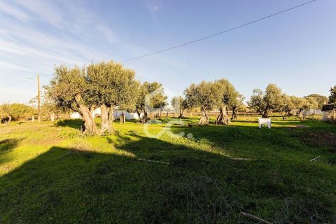 Farm hus i Evora, Evora, Evora - € 650.000 | Ref: 318/Q/03707 - foto 34