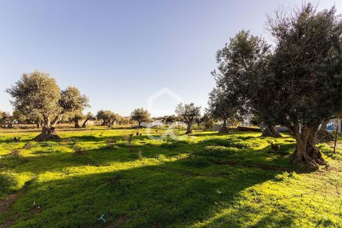 Farm hus i Evora, Evora, Evora - € 650.000 | Ref: 318/Q/03707 - foto 35