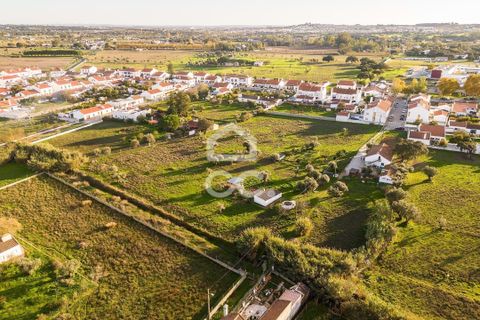 Farm hus i Evora, Evora, Evora - € 650.000 | Ref: 318/Q/03707 - foto 37