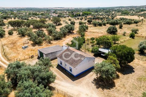Gårdshus i Evora, Evora, Evora - € 430 000 | Ref: 318/Q/03710 - foto 2