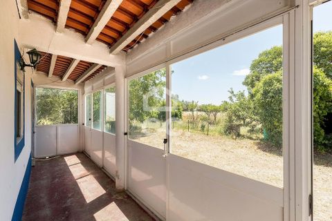 Gårdshus i Evora, Evora, Evora - € 430 000 | Ref: 318/Q/03710 - foto 21