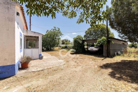 Gårdshus i Evora, Evora, Evora - € 430 000 | Ref: 318/Q/03710 - foto 24