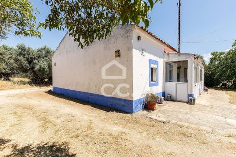 Gårdshus i Evora, Evora, Evora - € 430 000 | Ref: 318/Q/03710 - foto 27