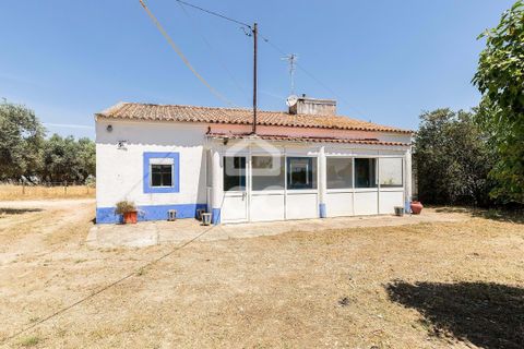 Gårdshus i Evora, Evora, Evora - € 430 000 | Ref: 318/Q/03710 - foto 28