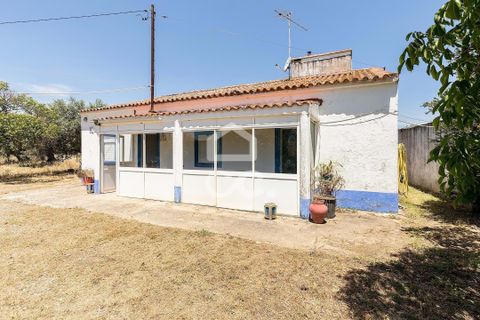 Gårdshus i Evora, Evora, Evora - € 430 000 | Ref: 318/Q/03710 - foto 29