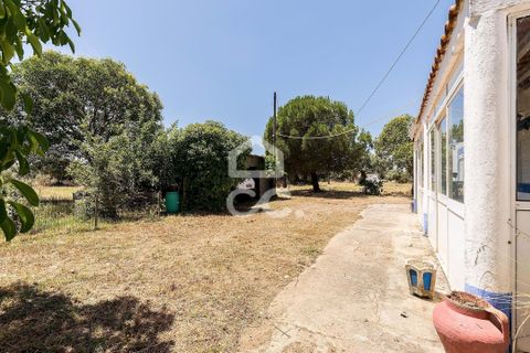 Gårdshus i Evora, Evora, Evora - € 430 000 | Ref: 318/Q/03710 - foto 30
