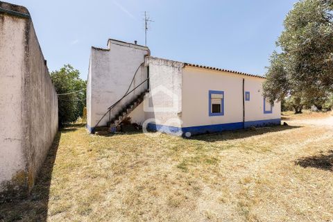 Gårdshus i Evora, Evora, Evora - € 430 000 | Ref: 318/Q/03710 - foto 32
