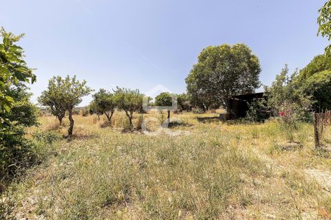 Gårdshus i Evora, Evora, Evora - € 430 000 | Ref: 318/Q/03710 - foto 40