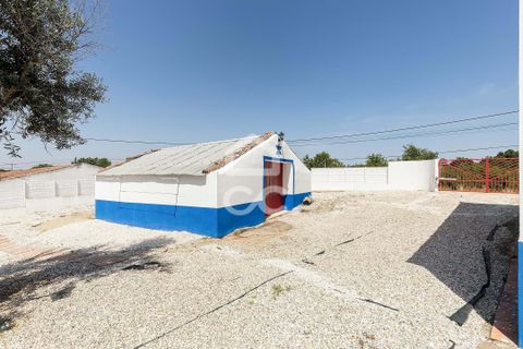 Farm hus i Estremoz, Evora, Estremoz - € 330.000 | Ref: 318/Q/03716 - foto 43