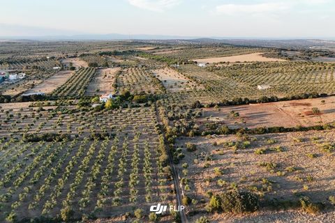 Tomt i Terrugem e Vila Boim, Portalegre, Terrugem e Vila Boim - € 61 875 | Ref: C0364-05073 - foto 9