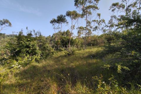 Helårsgrund i Mafra, Lisbon, Mafra - € 30.000 | Ref: C0364-05075 - foto 2