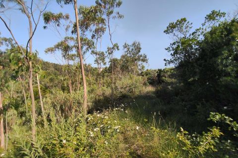 Helårsgrund i Mafra, Lisbon, Mafra - € 30.000 | Ref: C0364-05075 - foto 3