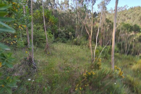 Helårsgrund i Mafra, Lisbon, Mafra - € 30.000 | Ref: C0364-05075 - foto 6